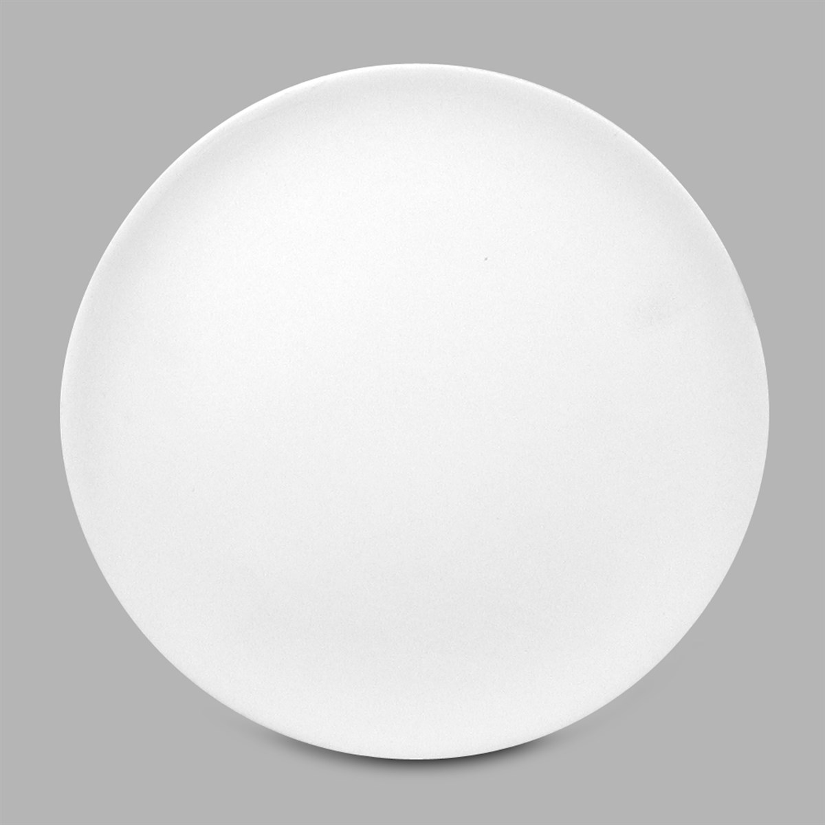 Ceramic Bisque Coupe Dinner Plate- Case of 12