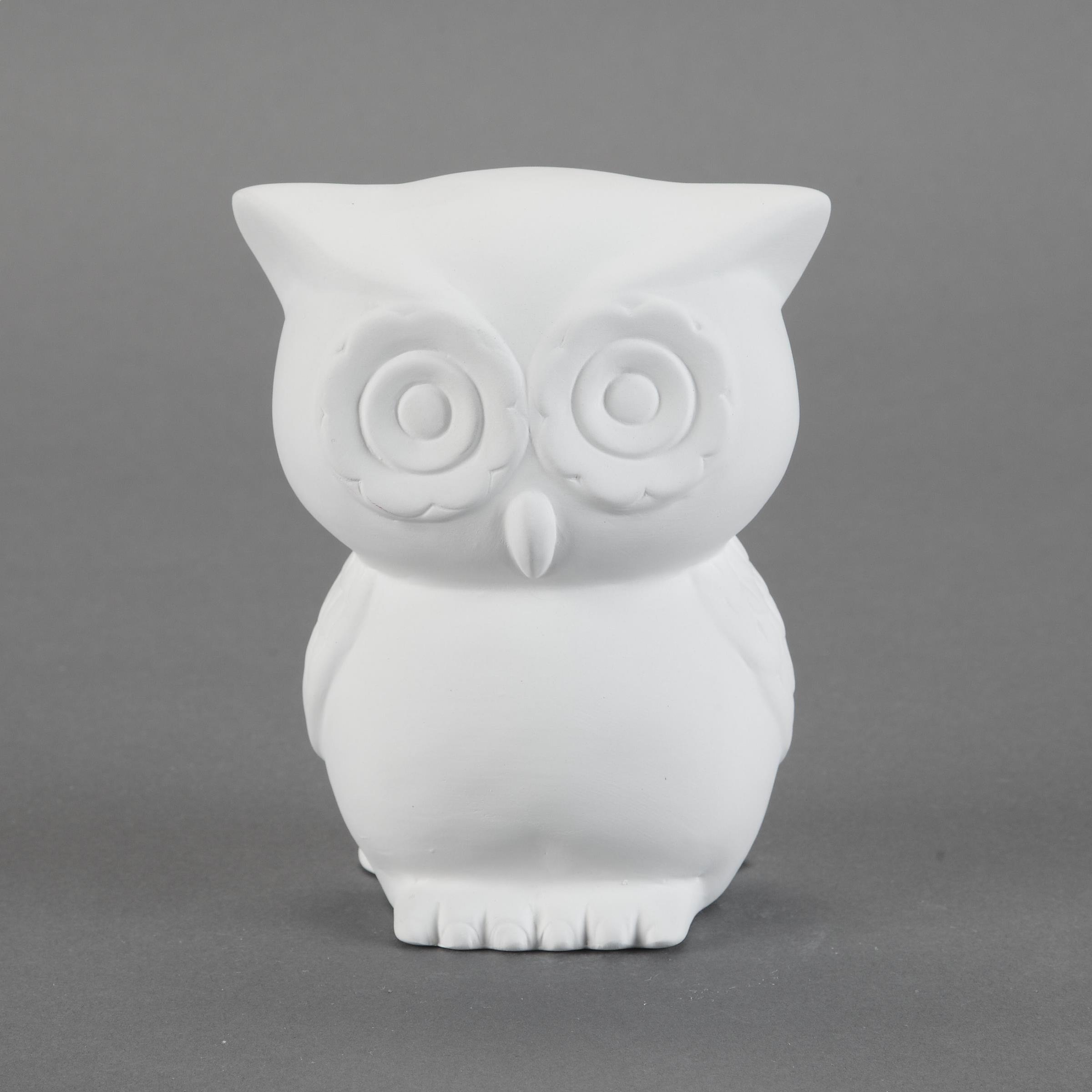 Retro Owl Bank- Case of 6